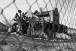 photo thumbnail #2