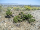 photo thumbnail #11