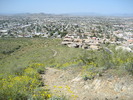 photo thumbnail #12