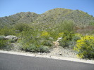 photo thumbnail #4