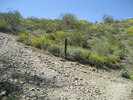 photo thumbnail #6