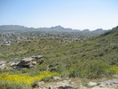 photo thumbnail #9