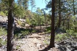photo thumbnail #6