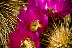 photo thumbnail #11