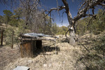 photo thumbnail #5