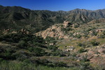photo thumbnail #2