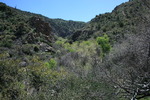 photo thumbnail #9