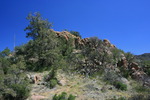 photo thumbnail #10