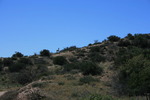 photo thumbnail #15