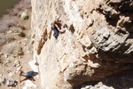 photo thumbnail #9