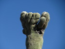 photo thumbnail #4