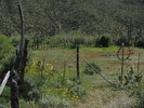 photo thumbnail #13