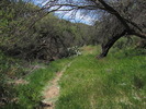 photo thumbnail #14