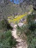 photo thumbnail #7