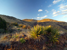 photo thumbnail #9
