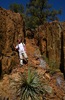 photo thumbnail #2