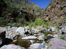 photo thumbnail #7