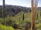 photo thumbnail #3