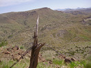 photo thumbnail #8