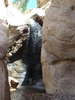 recent photo