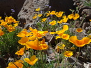 photo thumbnail #14