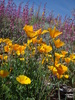 photo thumbnail #15