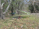 photo thumbnail #11