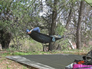 photo thumbnail #12
