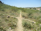 photo thumbnail #6