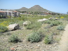 photo thumbnail #8