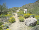 photo thumbnail #9