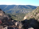 photo thumbnail #13