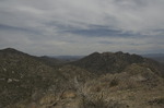 photo thumbnail #4