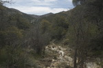 recent photo