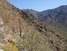photo thumbnail #2