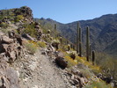 photo thumbnail #4