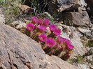 photo thumbnail #6