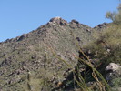 photo thumbnail #7