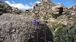 photo thumbnail #11