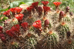 photo thumbnail #8