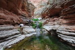 photo thumbnail #8