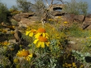 photo thumbnail #3