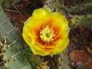 photo thumbnail #12