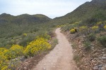 photo thumbnail #3