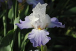 photo thumbnail #8
