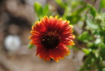 photo thumbnail #14