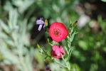 photo thumbnail #15