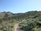 photo thumbnail #3