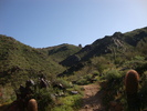 photo thumbnail #4