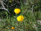 photo thumbnail #14
